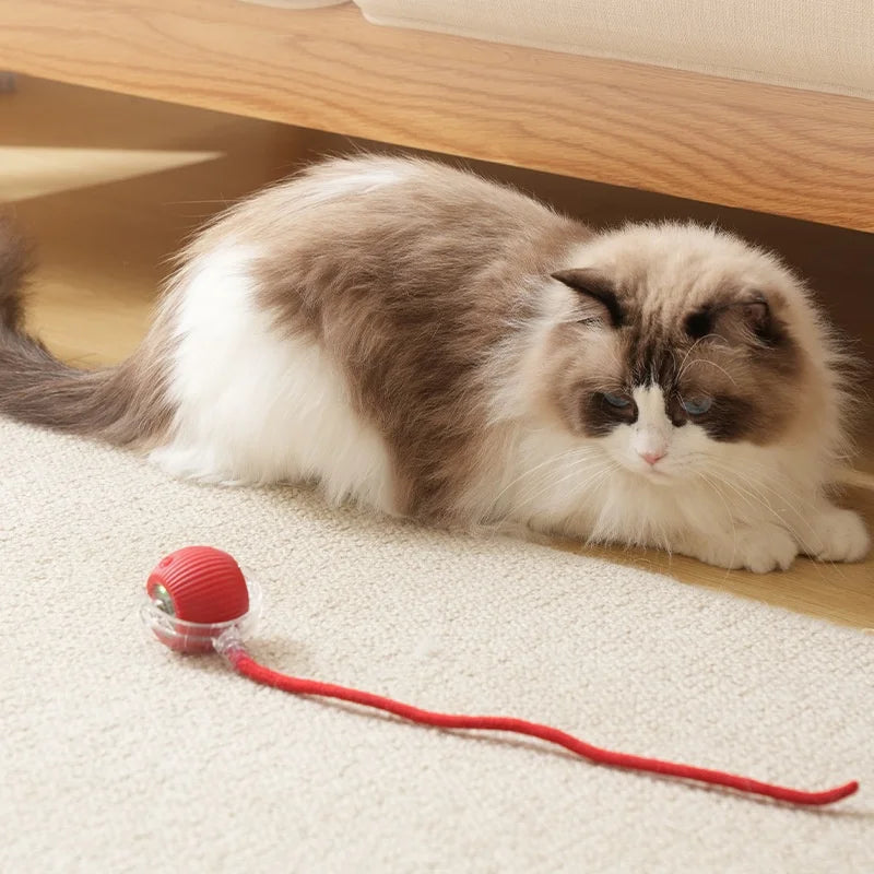 Rechargeable Cat Toys Interactive Smart Pet Interaction Automatic Rolling Ball Toy Accessories for Cats Electric Dog Ball Things